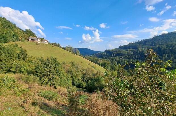 Gewerbeobjekt kaufen in 8573 Hemmerberg (Bild 2)