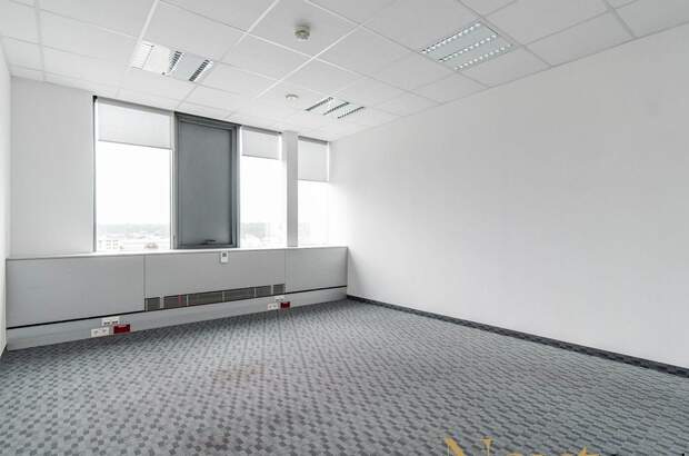 Gewerbeobjekt mieten in 4600 Wels (Bild 3)