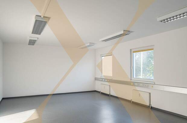Gewerbeobjekt mieten in 4600 Wels (Bild 1)