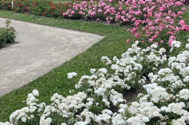 Wohnung kaufen in 2500 Baden (Bild 4)