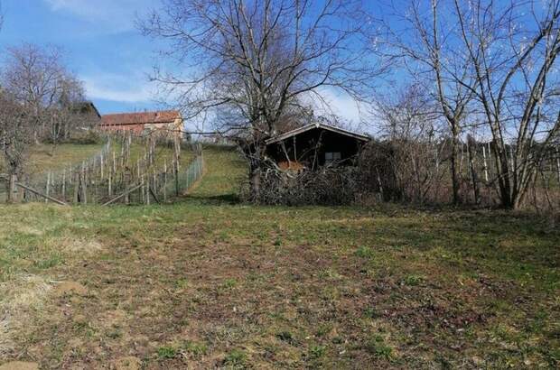 Gewerbeobjekt kaufen in 8342 Gnas (Bild 3)