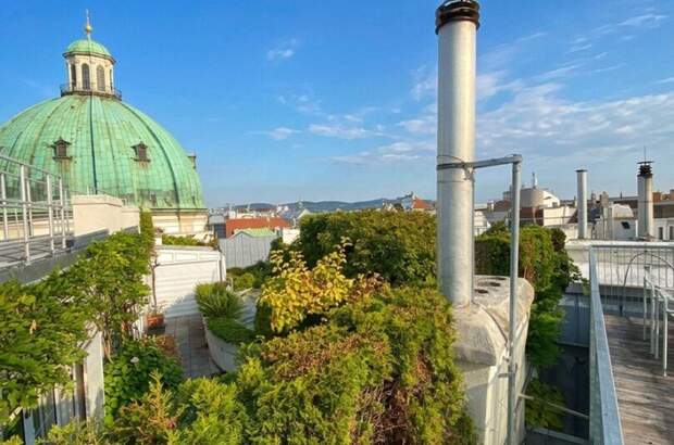 Altbauwohnung mieten in 1010 Wien (Bild 2)