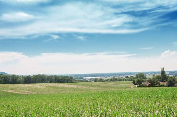 Grundstück kaufen in 2100 Leobendorf (Bild 4)