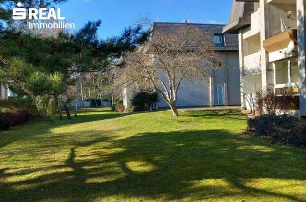 Terrassenwohnung mieten in 2380 Perchtoldsdorf (Bild 3)