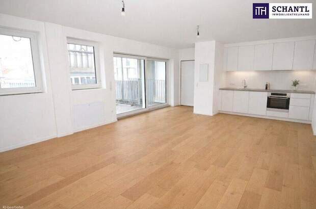 Terrassenwohnung kaufen in 1100 Wien (Bild 3)