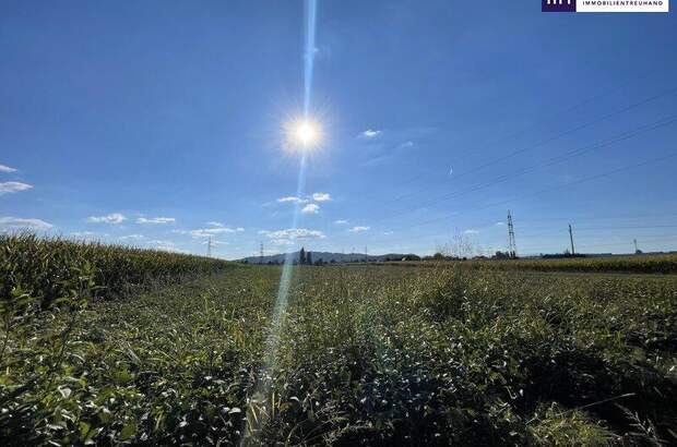 Grundstück kaufen in 8431 Gralla (Bild 1)