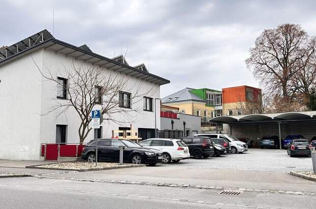 Anlageobjekt kaufen in 2225 Zistersdorf (Bild 1)