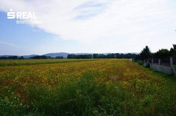 Grundstück kaufen in 3430 Frauenhofen (Bild 1)