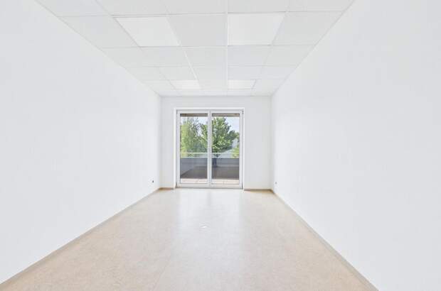 Gewerbeobjekt mieten in 4221 Steyregg (Bild 4)