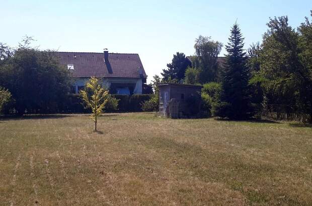 Grundstück kaufen in 2230 Gänserndorf (Bild 1)