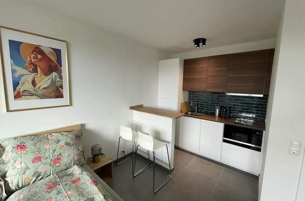 Altbauwohnung kaufen in 8010 Graz (Bild 4)