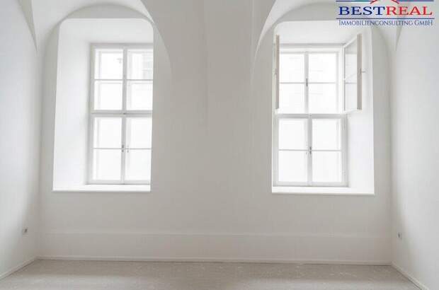 Büro / Praxis mieten in 1010 Wien (Bild 4)