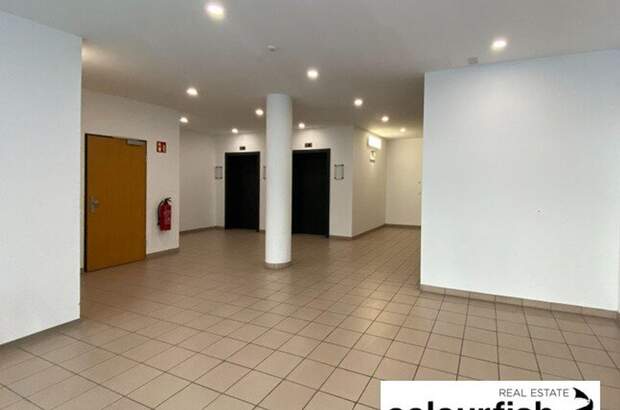 Gewerbeobjekt mieten in 1110 Wien (Bild 5)