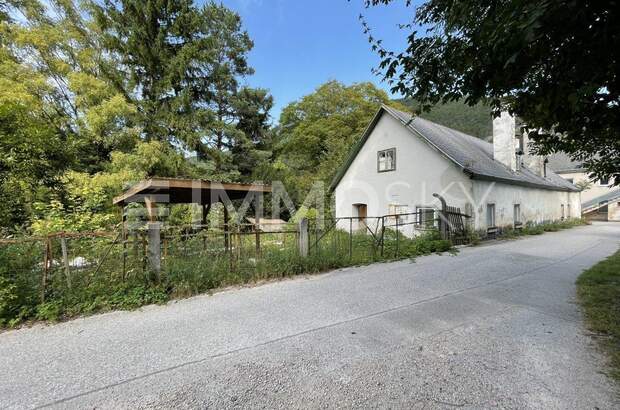 Grundstück kaufen in 2754 Waldegg (Bild 2)