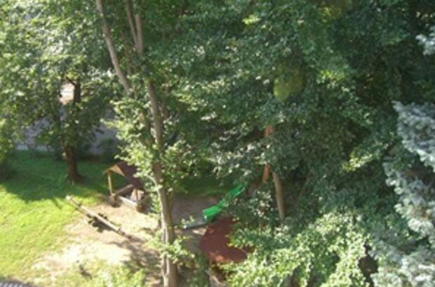 Altbauwohnung mieten in 8020 Graz (Bild 5)