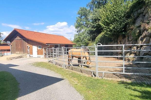 Gewerbeobjekt kaufen in 4363 Pabneukirchen (Bild 5)
