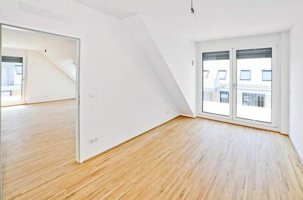 Terrassenwohnung mieten in 1220 Wien (Bild 2)