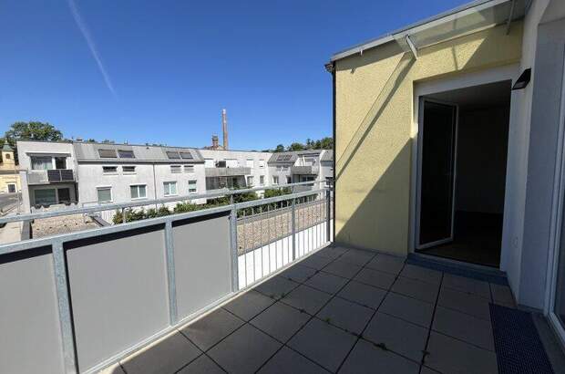 Terrassenwohnung mieten in 2104 Spillern (Bild 5)