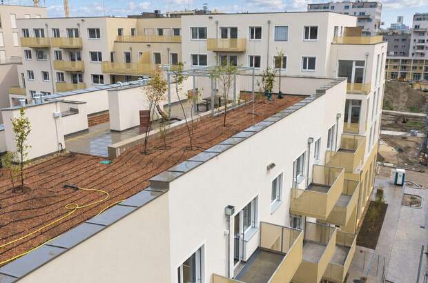 Wohnung mit Balkon mieten in 1220 Wien (Bild 4)