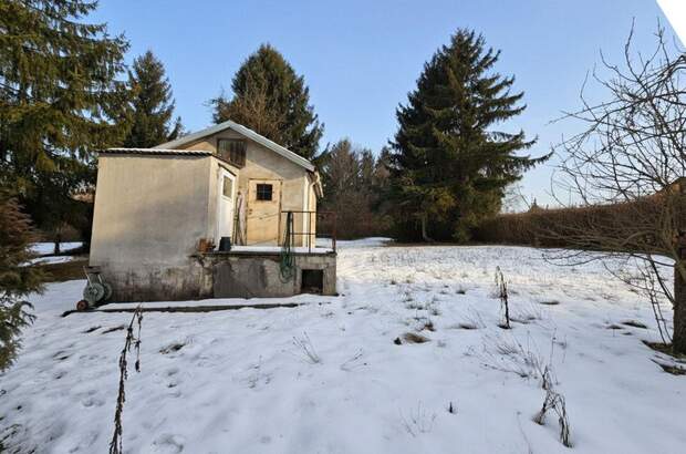 Gewerbeobjekt kaufen in 4060 Leonding (Bild 1)