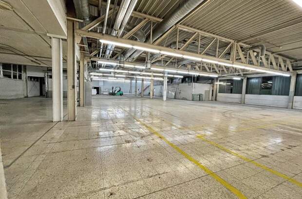 Gewerbeobjekt mieten in 6233 Kramsach (Bild 5)