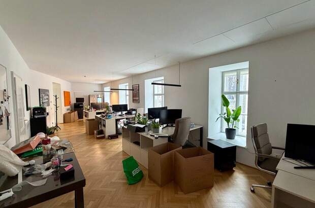 Gewerbeobjekt mieten in 1010 Wien (Bild 2)