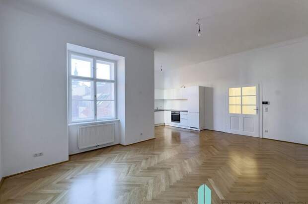 Altbauwohnung mieten in 1010 Wien (Bild 1)