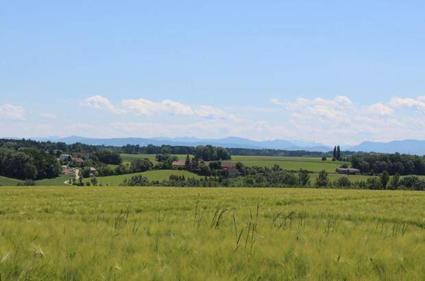 Grundstück kaufen in 4491 Niederneukirchen (Bild 2)