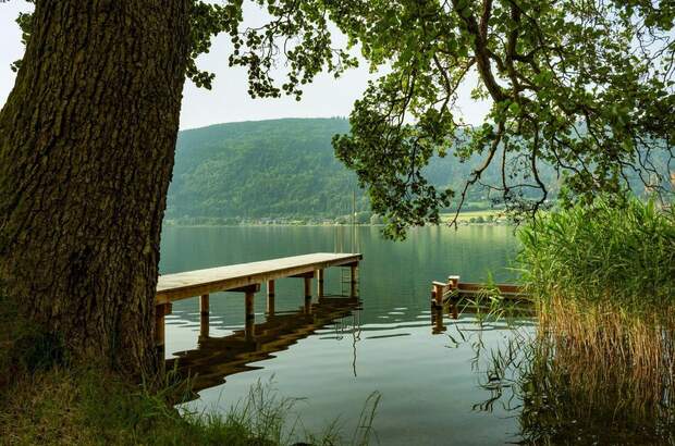 Wohnung in 9552 Steindorf (Bild 2)