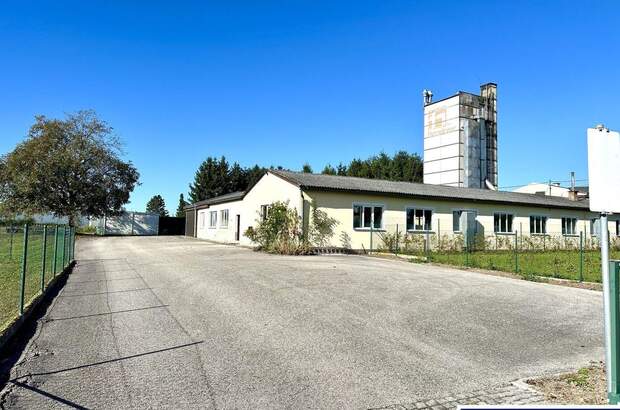 Gewerbeobjekt mieten in 4623 Gunskirchen (Bild 1)