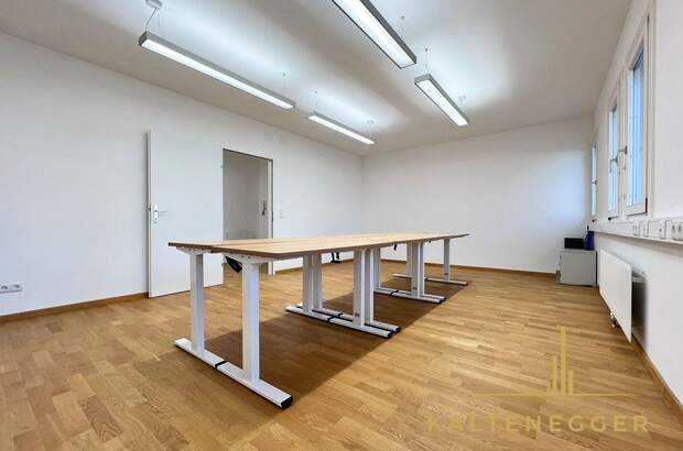 Gewerbeobjekt mieten in 1140 Wien (Bild 1)