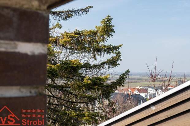 Haus mit Garten kaufen in 2451 Hof (Bild 1)