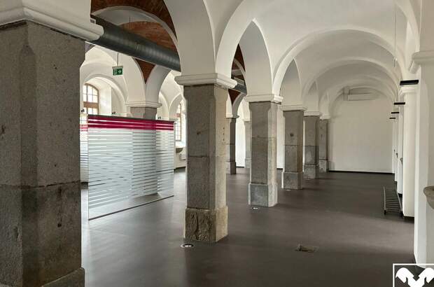 Gewerbeobjekt mieten in 4470 Enns (Bild 4)