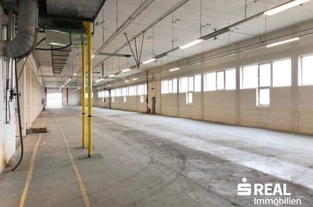 Lager mieten in 4614 Marchtrenk (Bild 4)