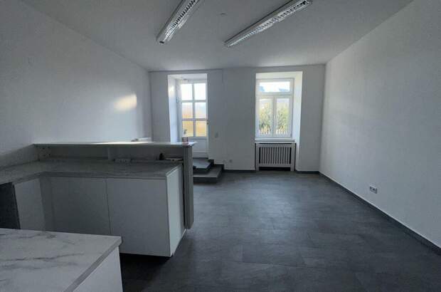 Gewerbeobjekt mieten in 1190 Wien (Bild 4)