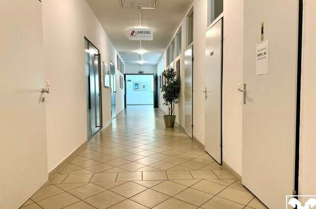 Gewerbeobjekt mieten in 9130 Poggersdorf (Bild 3)