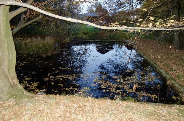 Grundstück kaufen in 3413 Hintersdorf (Bild 4)