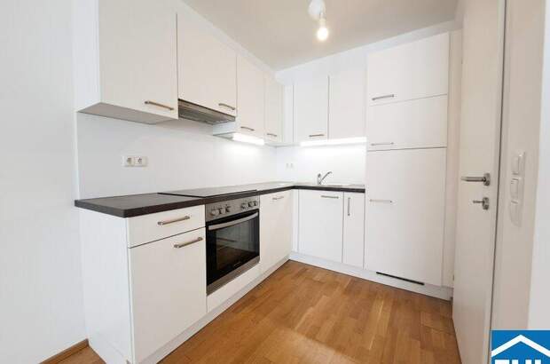 Terrassenwohnung mieten in 1090 Wien (Bild 2)