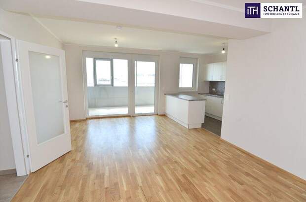 Terrassenwohnung mieten in 2320 Schwechat (Bild 1)