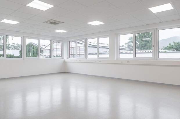Gewerbeobjekt mieten in 4020 Linz (Bild 2)