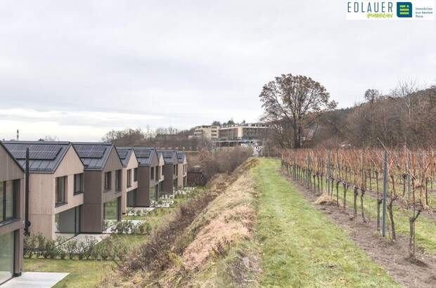 Reihenhaus mieten in 3500 Krems (Bild 1)