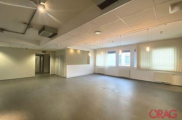 Gewerbeobjekt mieten in 1110 Wien (Bild 3)