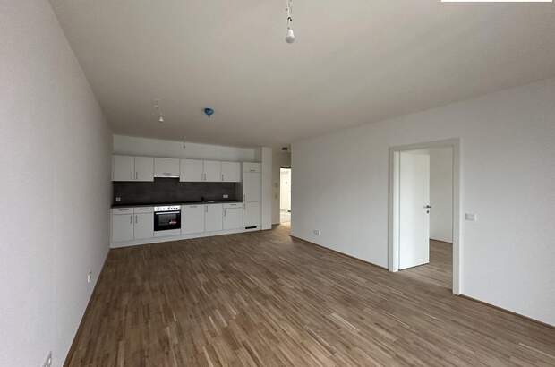 Terrassenwohnung mieten in 3100 St. Pölten (Bild 1)