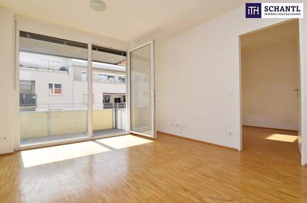 Terrassenwohnung mieten in 8020 Graz (Bild 1)