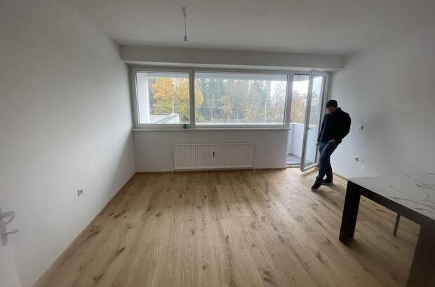 Mietwohnung in 4020 Linz (Bild 1)