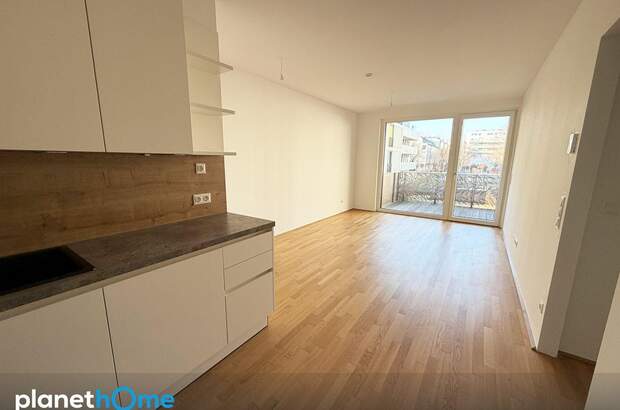 Terrassenwohnung kaufen in 1230 Wien (Bild 3)