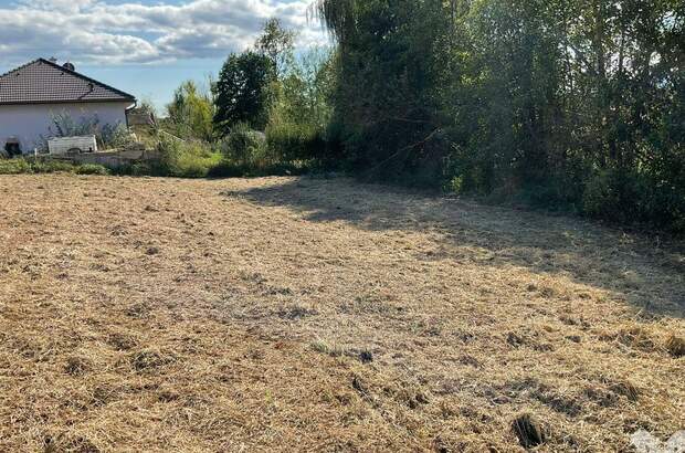 Grundstück kaufen in 8504 Preding (Bild 2)