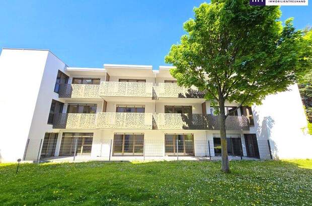 Terrassenwohnung kaufen in 1230 Wien (Bild 3)