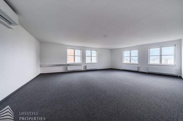 Gewerbeobjekt mieten in 1010 Wien (Bild 1)