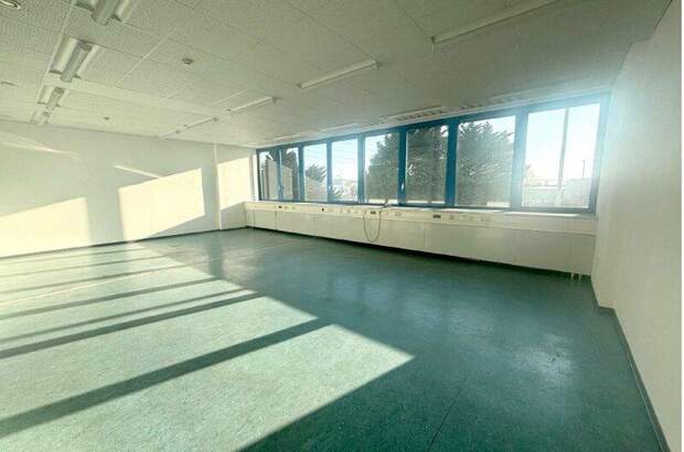 Büro / Praxis mieten in 2351 Wr. Neudorf (Bild 2)
